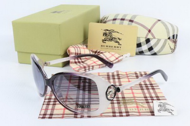 Burberry Boutique Sunglasses 027